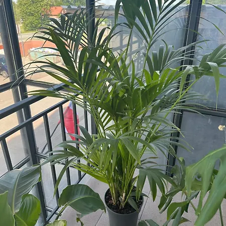 Vista Apartment2 Choszczowka Stojecka