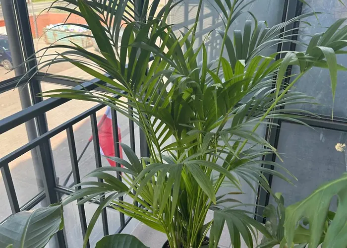 Vista Apartment2 Choszczowka Stojecka