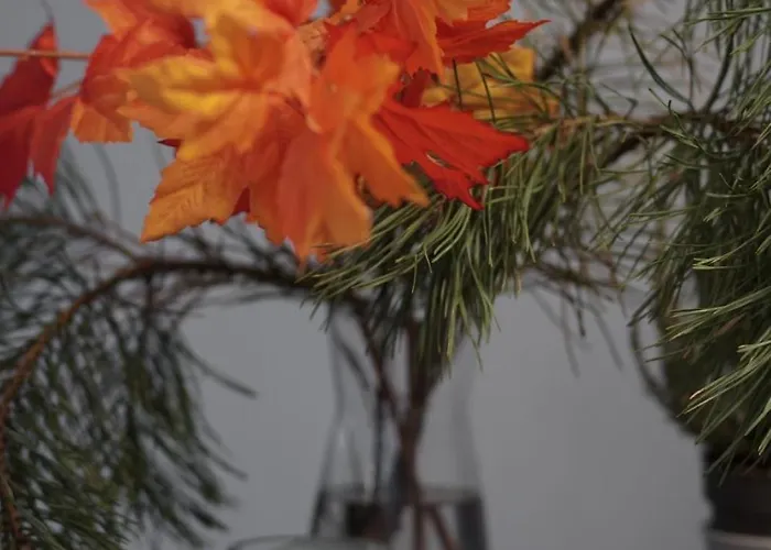 Apartman Vista Apartment2 *